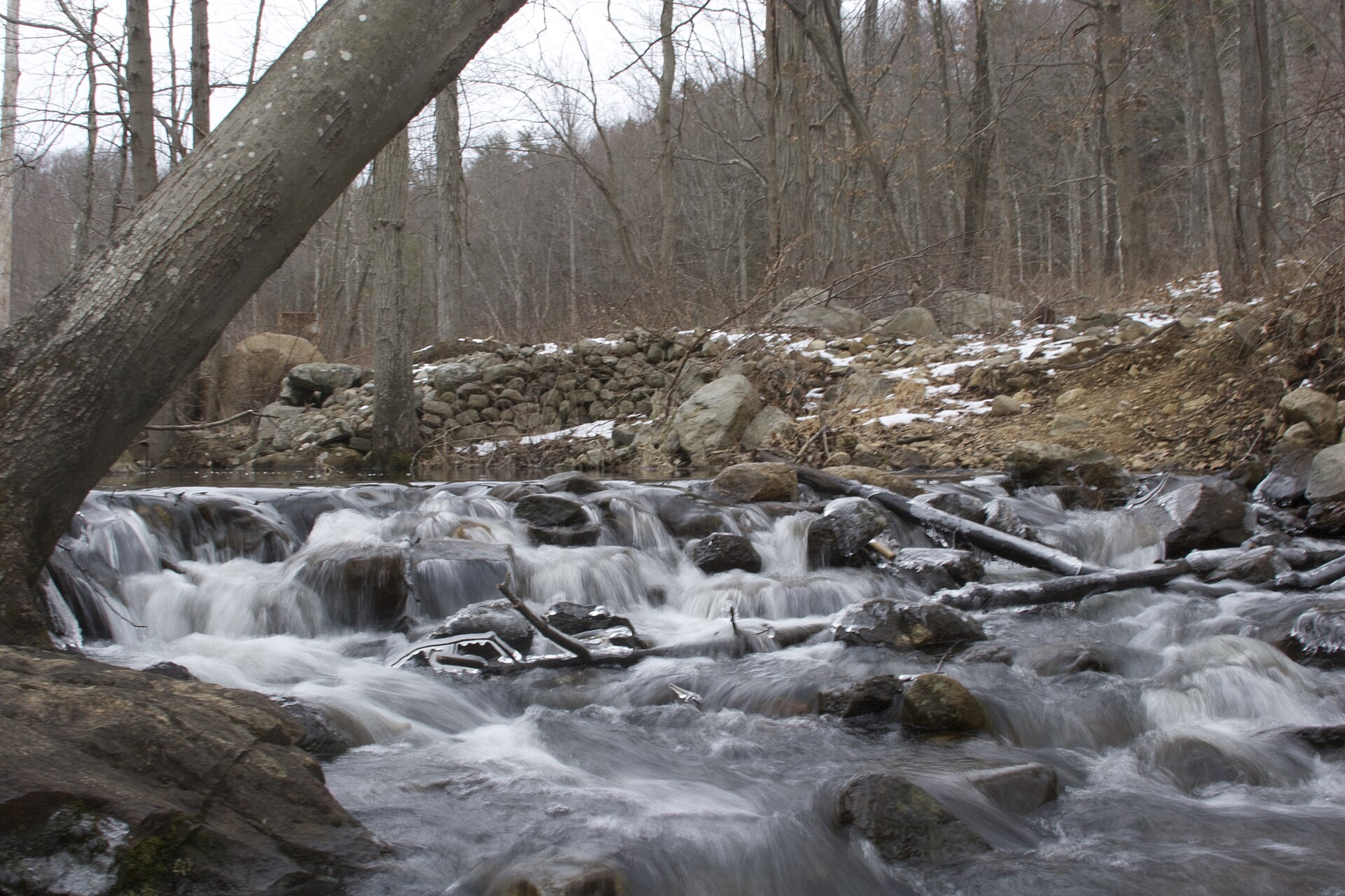 Bennett's Pond Park · Brianegge / CC0