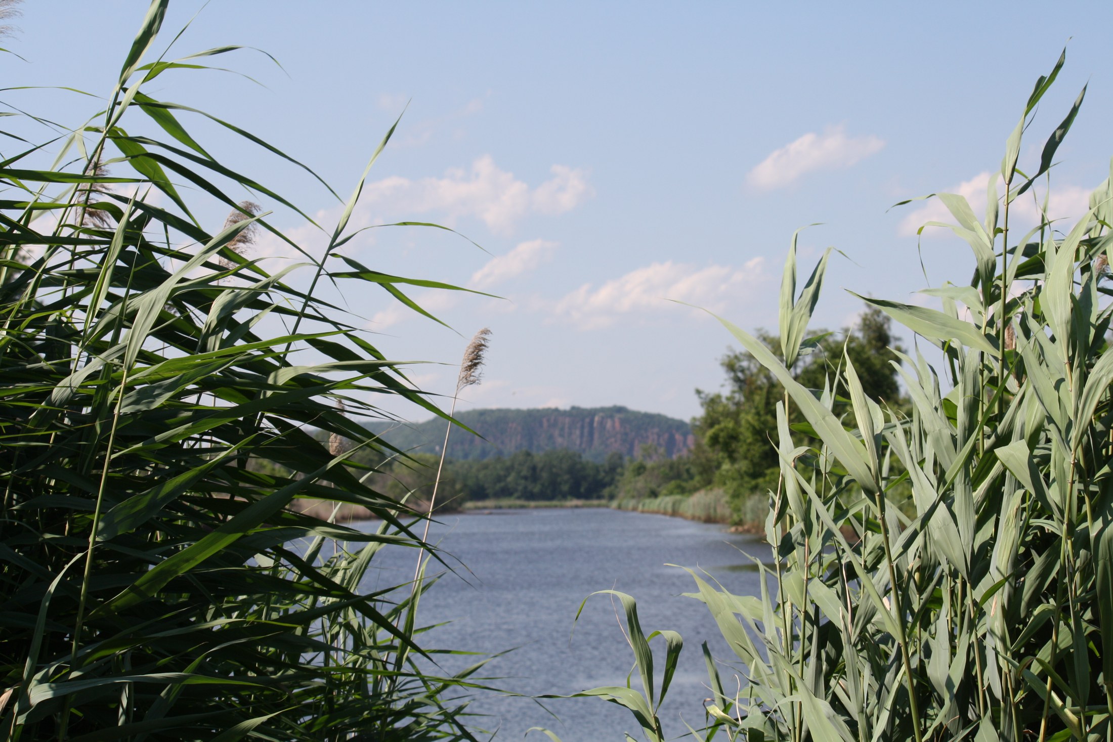 West River Memorial Park toward West Rock · 2014-07-09