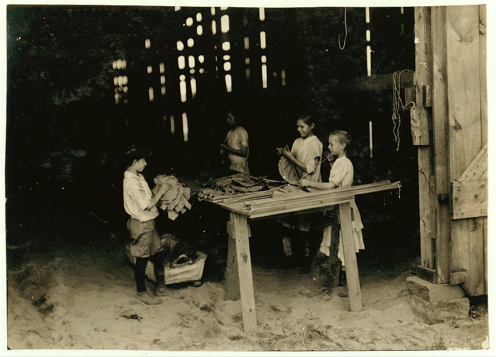 South Windsor tobacco workers, view 1 — 1917 August 3.