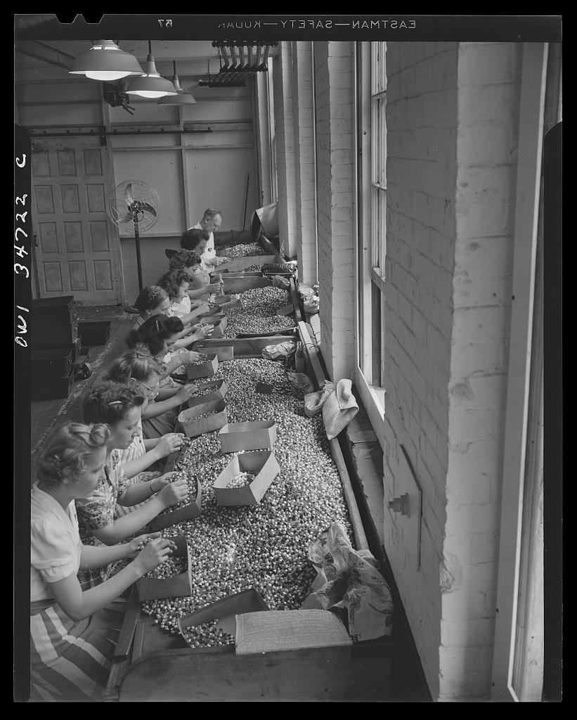 Inspecting bullet jackets at the Stanley plant — 1943 May.